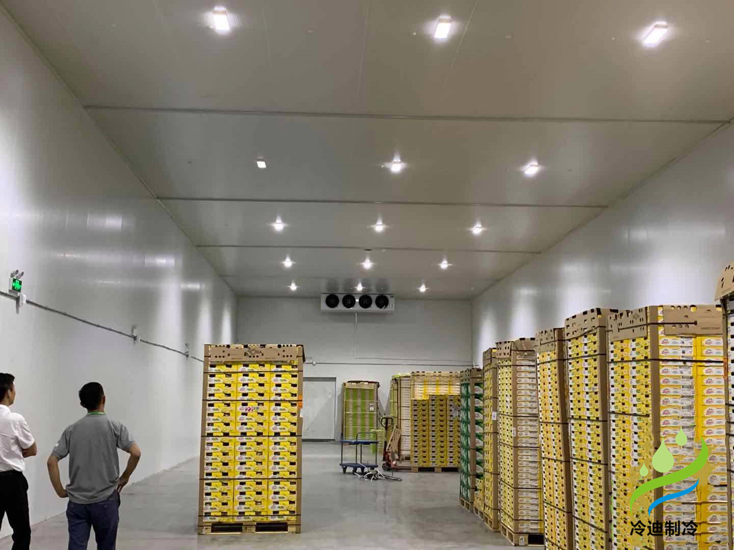 棗子保鮮冷庫(kù)長(zhǎng)期儲(chǔ)存8點(diǎn)方法介紹