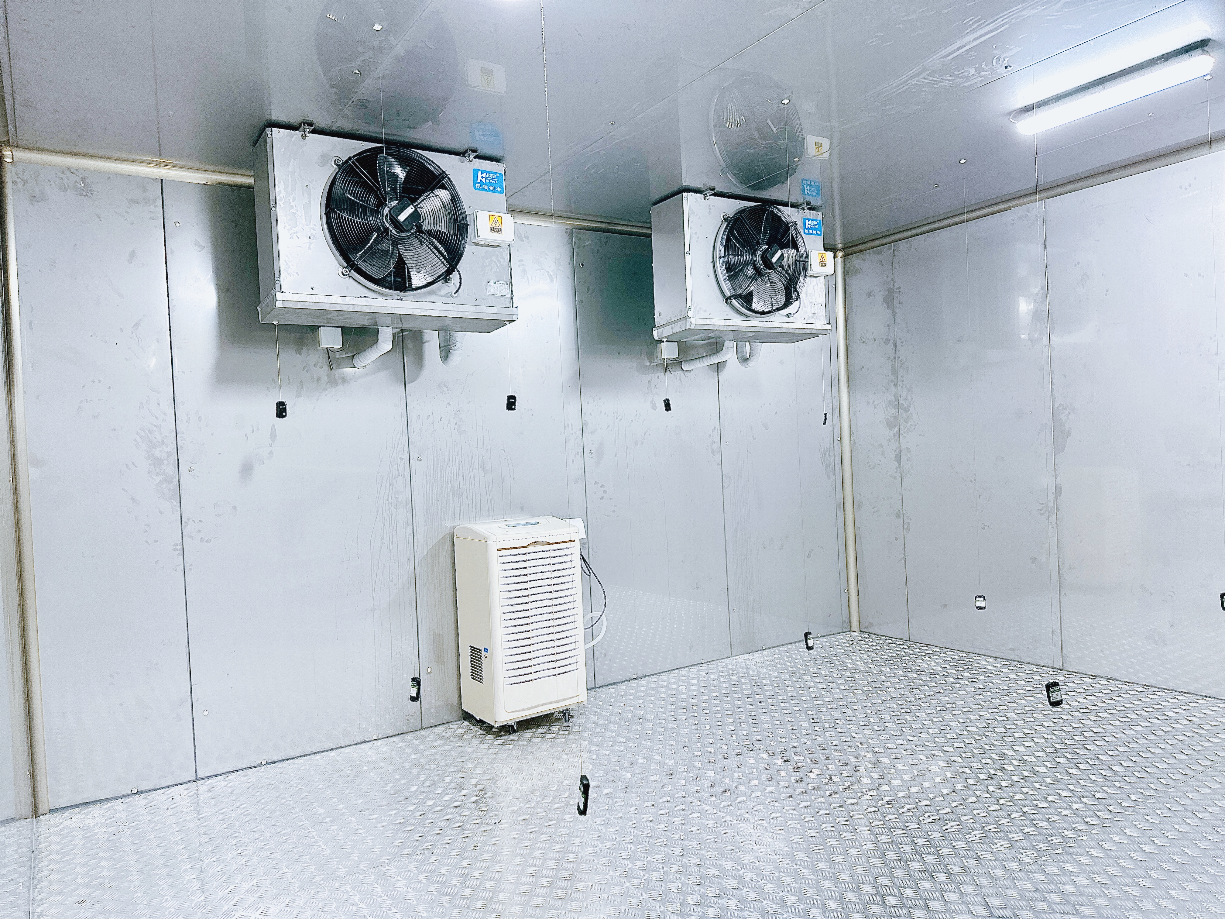 建造一座速凍冷庫(kù)造價(jià)大概多少錢?(圖1)