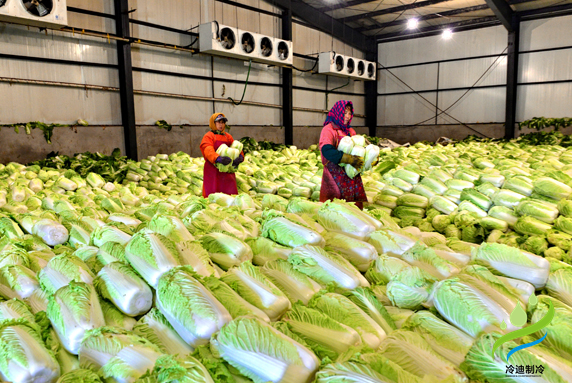 保鮮庫(kù)使用場(chǎng)景有哪些，適宜存放什么產(chǎn)品(圖1)