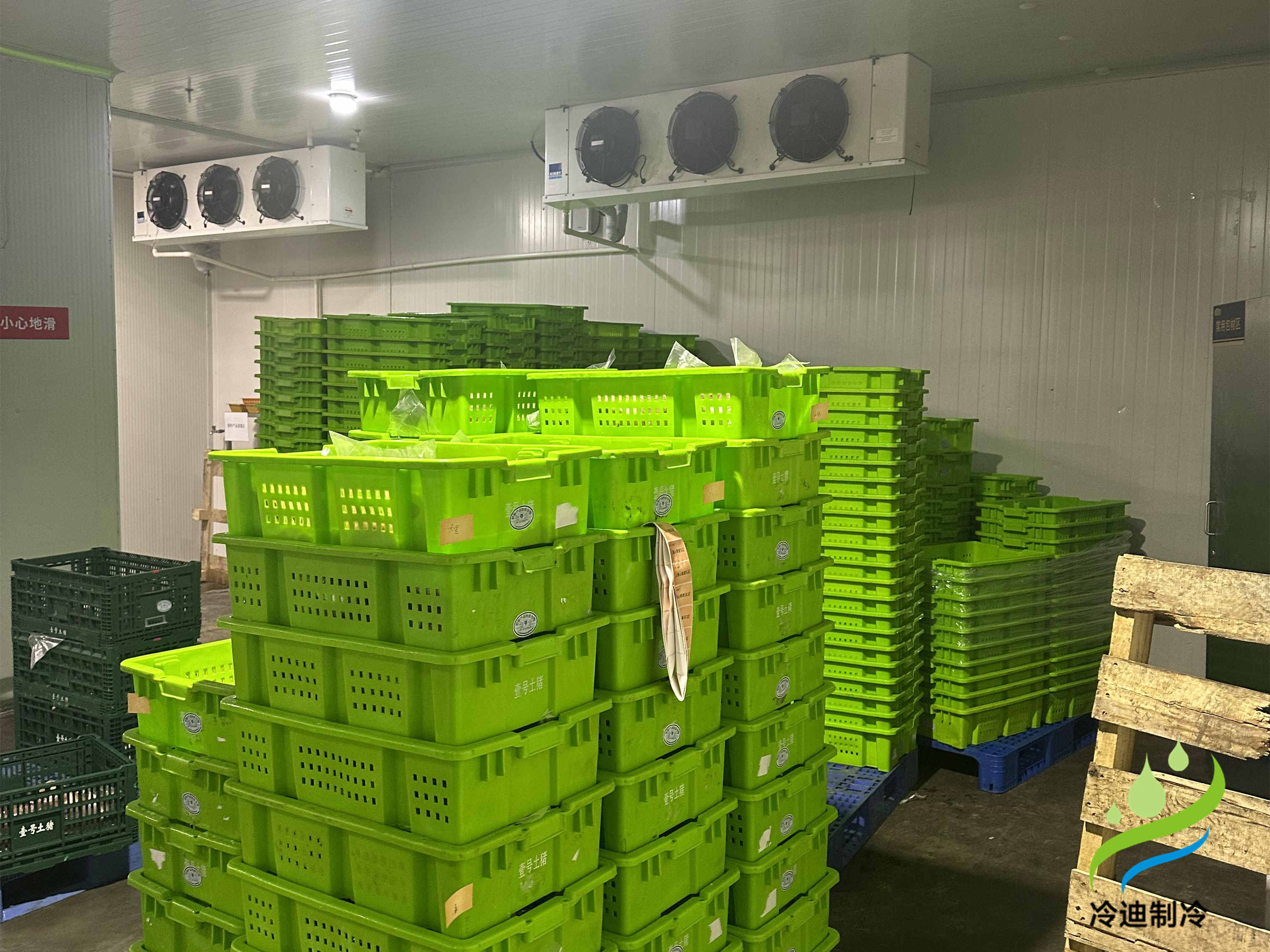 建造一座30噸冷庫造價需要多少錢？